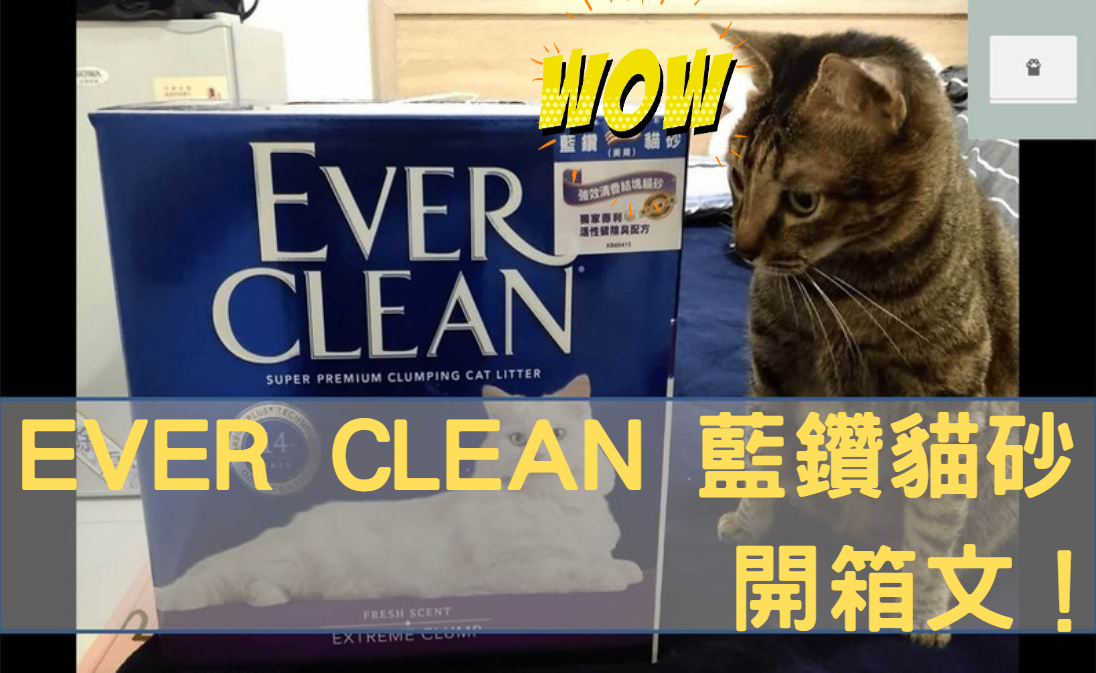 ever clean 藍鑽貓砂開箱