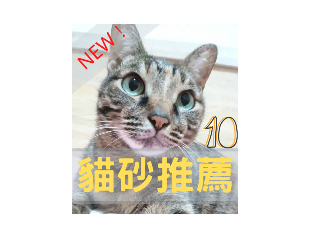 【2021年最新版】推薦養貓新手最愛使用的10款貓砂！教你如何挑選+評比！