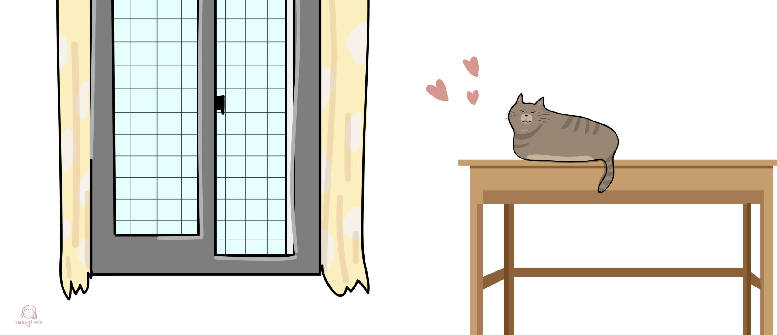 送養貓咪要窗戶防護