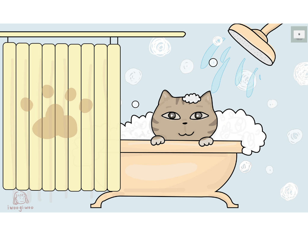 貓咪洗澡