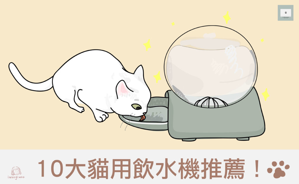 【2021年最新版】10大貓用飲水機推薦！促進貓咪對於喝水的興趣！