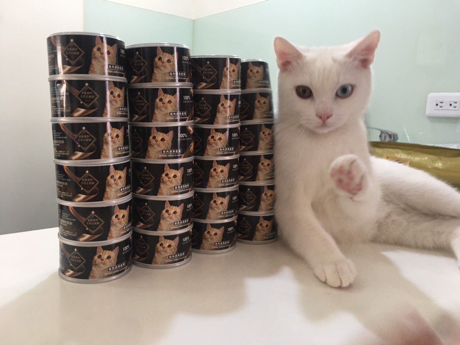 貓罐頭推薦 貓侍主食罐