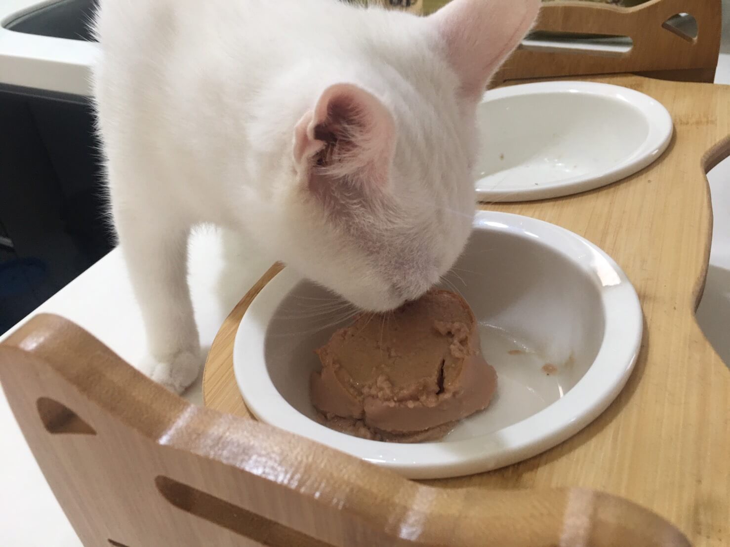 貓侍主食罐試吃評價