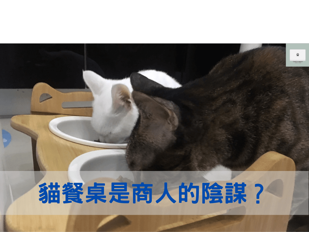 貓餐桌使用不當，會造成貓咪頸椎出問題？
