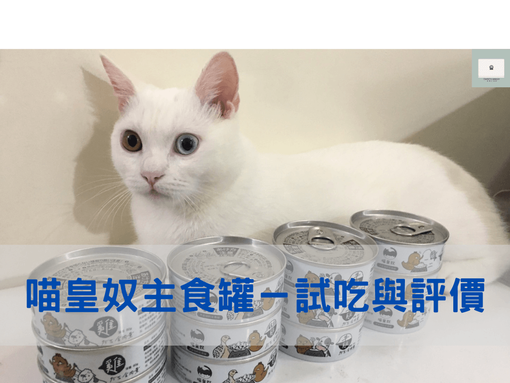喵皇奴主食罐試吃評價！貓咪絕對可以嘗試的新興廠商！
