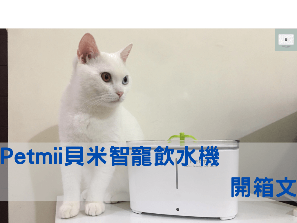 Petmii貝米智寵飲水機開箱與評價！增加貓咪喝水的意願！