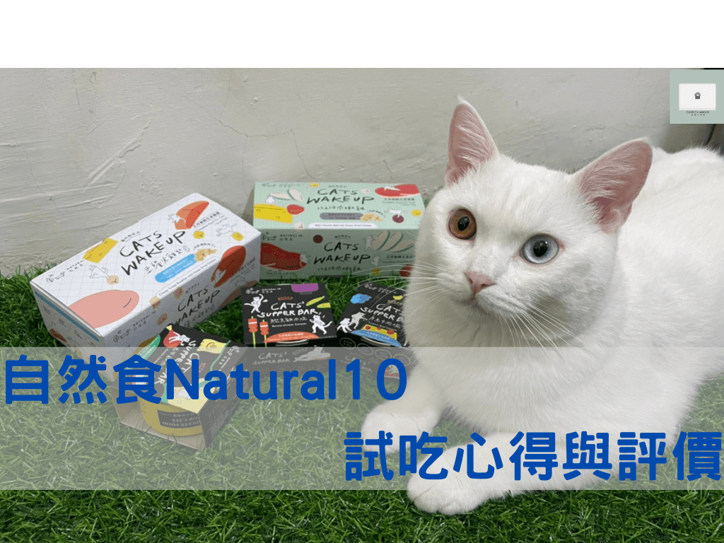 【Natural 10 自然食】主食罐試吃評價！貓咪一天獨有的套餐組合！