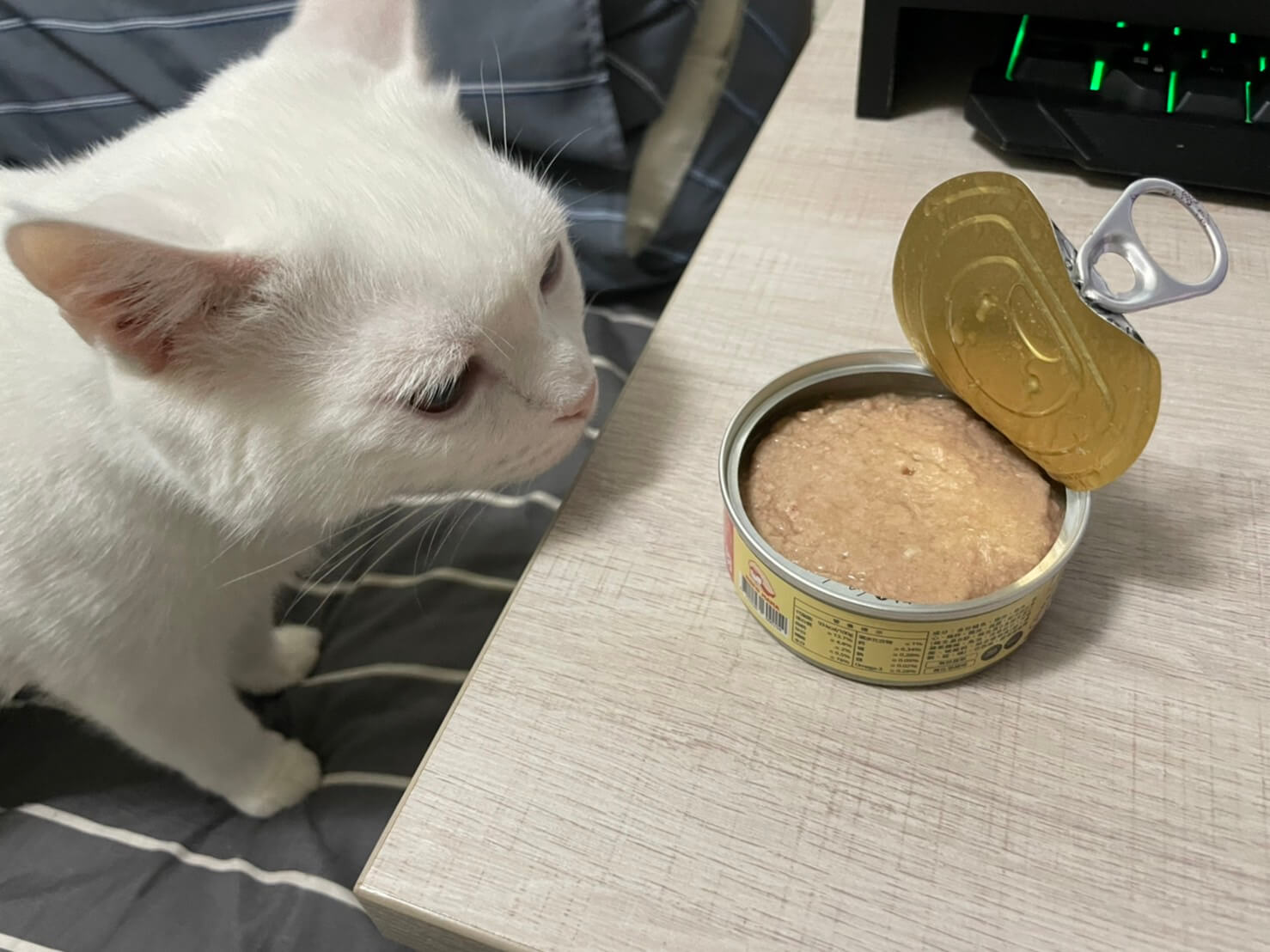 HERO MAMA貓主食罐評價 貓咪試吃1