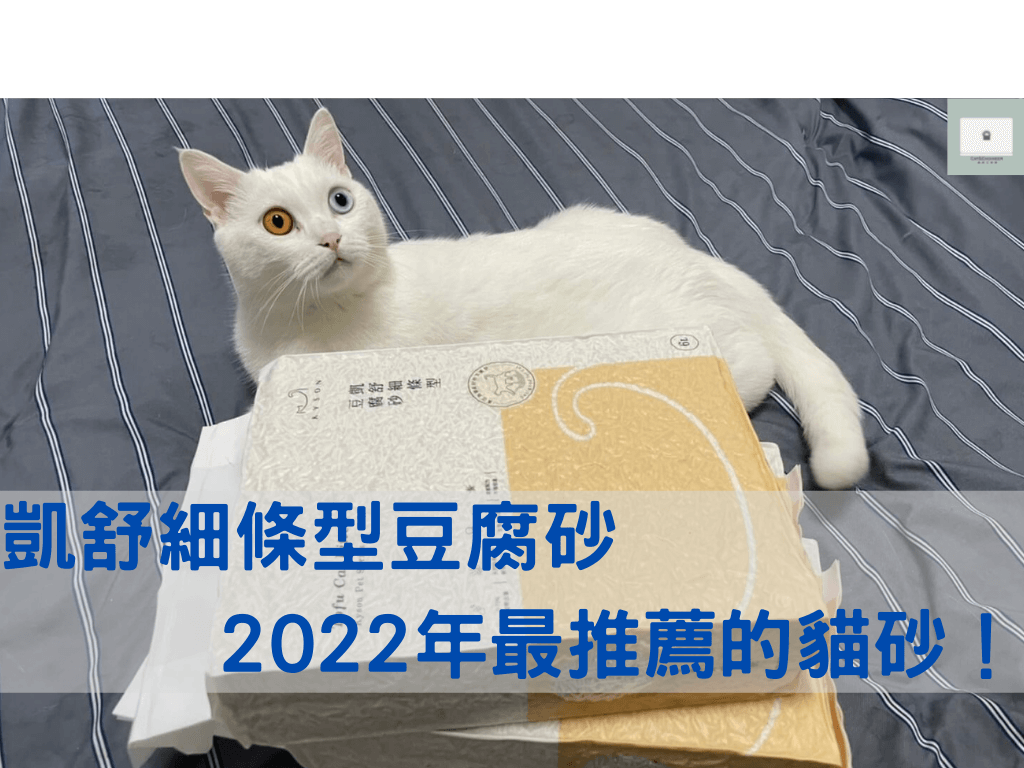 【凱舒貓砂】1.5mm極細條豆腐砂開箱評價！2022年最推薦的貓咪貓砂！